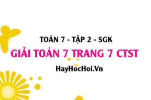 Giải Toán 7 trang 7 tập 2 Chân trời sáng tạo SGK
